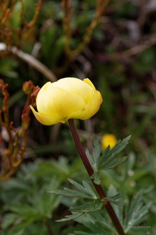 20140531_197